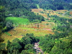 SRI LANKA, rural scene, terraced rice fields (on route to Kandy), SLK380JPL