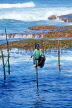 SRI LANKA, south coast, Ahangama area, Stilt Fisherman, SLK1995JPL
