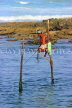 SRI LANKA, south coast, Ahangama area, Stilt Fisherman, SLK4767JPL