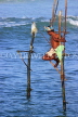 SRI LANKA, south coast, Ahangama area, Stilt Fisherman, SLK4770JPL