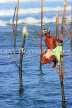 SRI LANKA, south coast, Ahangama area, Stilt Fisherman, SLK4779JPL