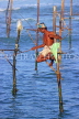 SRI LANKA, south coast, Ahangama area, Stilt Fisherman, SLK4780JPL