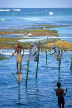 SRI LANKA, south coast, Ahangama area, Stilt Fishermen, SLK1680JPL