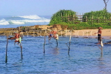 SRI LANKA, south coast, Ahangama area, Stilt Fishermen, SLK4769JPL