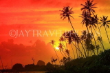 SRI LANKA, south coast, Ahangama area, sunset with coconut trees in silhouette, SLK4751JPL