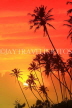 SRI LANKA, south coast, Ahangama area, sunset with coconut trees in silhouette, SLK4755JPL