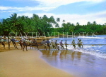 SRI LANKA, south coast, Ambalangoda, fishermen hauling in nets, SLK1369JPL