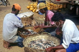 SRI LANKA, south coast, Ambalangoda, fishermen sorting catch into baskets, SLK341JPL