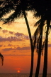 SRI LANKA, south coast, Beruwela, sunset and coconut trees, SLK2143JPL