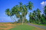SRI LANKA, south coast, Kalutara, fishing village and coconut trees, SLK1673JPL