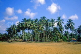 SRI LANKA, south coast, Kalutara, fishing village and coconut trees, SLK2151JPL