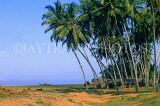 SRI LANKA, south coast, Kalutara, leaning coconut trees, SLK1672JPL