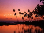 SRI LANKA, south coast, Kalutara, sunset with coconut trees, SLK173JPL