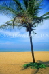 SRI LANKA, south coast, Mount Lavinia, beach and coconut tree, SLK2023JPL