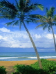 SRI LANKA, south coast, Mount Lavinia, beach and coconut trees, SLK1604JPL