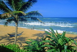SRI LANKA, south coast, Mount Lavinia, beach and coconut trees, SLK1658JPL