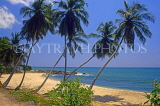 SRI LANKA, south coast, Tangalle, beach and leaning coconut trees, SLK2117JPL