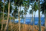 SRI LANKA, south coast, Tangalle, coast and coconut trees, SLK1524JPL