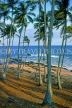 SRI LANKA, south coast, Tangalle, coast and coconut trees, SLK1669JPL