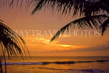 SRI LANKA, south coast, Tangalle, sunset and coconut tree branches, SLK1843JPL