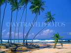 SRI LANKA, south coast, beach and leaning coconut tree, near Ahangama, SLK193JPL