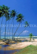 SRI LANKA, south coast, beach and leaning coconut trees, near Ahangama, SLK1510JPL