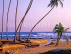 SRI LANKA, south coast, beach and leaning coconut trees, near Ahangama, SLK2053JPL