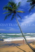 SRI LANKA, south coast, near Galle, beach and coconut tree, SLK184JPL