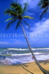 SRI LANKA, south coast, nearGalle, beach and coconut tree, SLK1527JPL