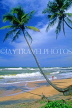 SRI LANKA, south coast, nera Galle, child on beach, and coconut trees, SLK1659JPL
