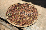 SRI LANKA, spices, Cloves in their flower pods, drying in the sun, SLK3225JPL