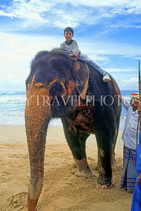 SRI LANKA, west coast, boy (tourist) on elephant ride, SLK2026JPL