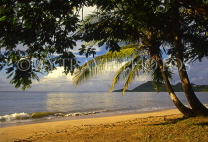 ST LUCIA, Choc Beach and coconut trees, STL611JPL