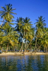 ST LUCIA, Marigot Bay and coconut trees, STL711JPL