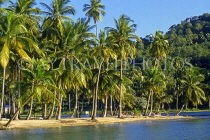 ST LUCIA, Marigot Bay and coconut trees, STL727JPL