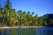 ST LUCIA, Marigot Bay and coconut trees, STL773JPL