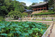 South Korea, SEOUL, Changdeokgung Palace, Secret Garden, Buyongji Pond & Juhamnu Pavilion, SK158JPL