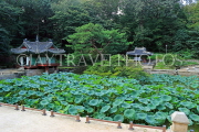 South Korea, SEOUL, Changdeokgung Palace, Secret Garden, Buyongji Pond & pavilion, SK153JPL
