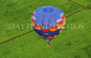 THAILAND, Ayuthaya, hot air balloon over rice fields, International Air Balloon Festival, THA2177JPL