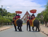 THAILAND, Ayuthaya, tourists on elephant rides, THA2051JPL
