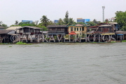 THAILAND, Bangkok, Chao Phraya River, residential houses on stilts, THA3504JPL