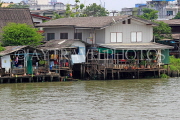THAILAND, Bangkok, Chao Phraya River, residential houses on stilts, THA3512JPL