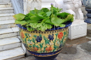 THAILAND, Bangkok, GRAND PALACE (Wat Phra Keo) complex, pottery with Water Lily, THA2418PL