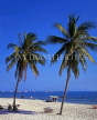 THAILAND, Hua-Hin, beach and two coconut trees, THA35JPL