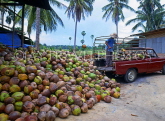 THAILAND, Ko Samui Island, worker unloading harvested coconuts, THA336JPL