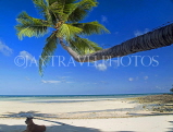 THAILAND, Koh Phangan Island, beach with coconut tree and dog, THA2022JPL