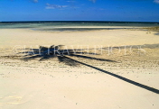 THAILAND, Koh Phangan Island, coconut tree shadow on beach, THA2210JPL