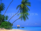 TOBAGO, Pigeon Point, with leaning coconut trees, TOB210JPL