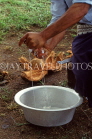 TONGA, getting coconut milk from coconut, demonstration, squeezing the milk, TON210JPL