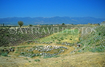 TURKEY, Aphrodisias, ancient Stadium (1st century AD), TUR622JPL